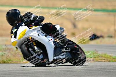 media/May-16-2025-2WTD (Fri) [[87c82739e1]]/B Group/Session 3 (Turn 4)/